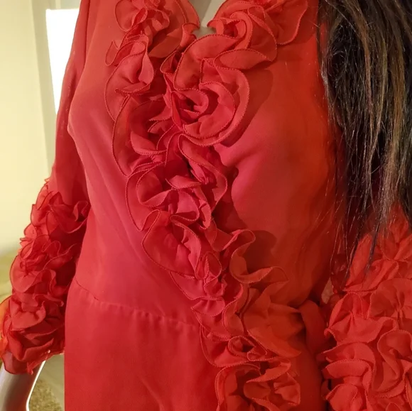 Vintage Red Ruffle 50s Style Robe - Picture 7 of 13